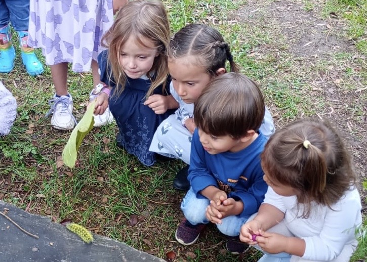 Educación basada en el juego y en la naturaleza