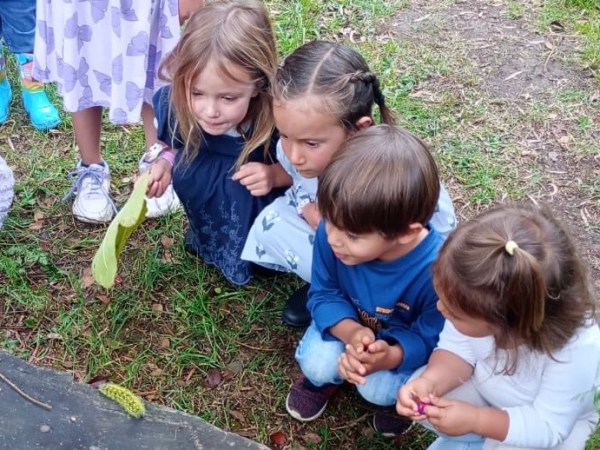 Educación basada en el juego y en la&nbsp;naturaleza