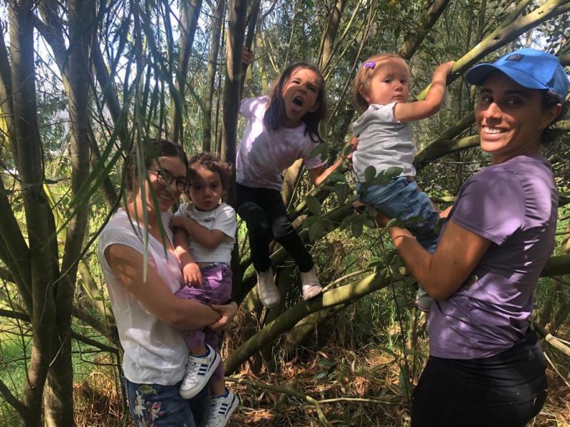 Aprendiendo en comunidad