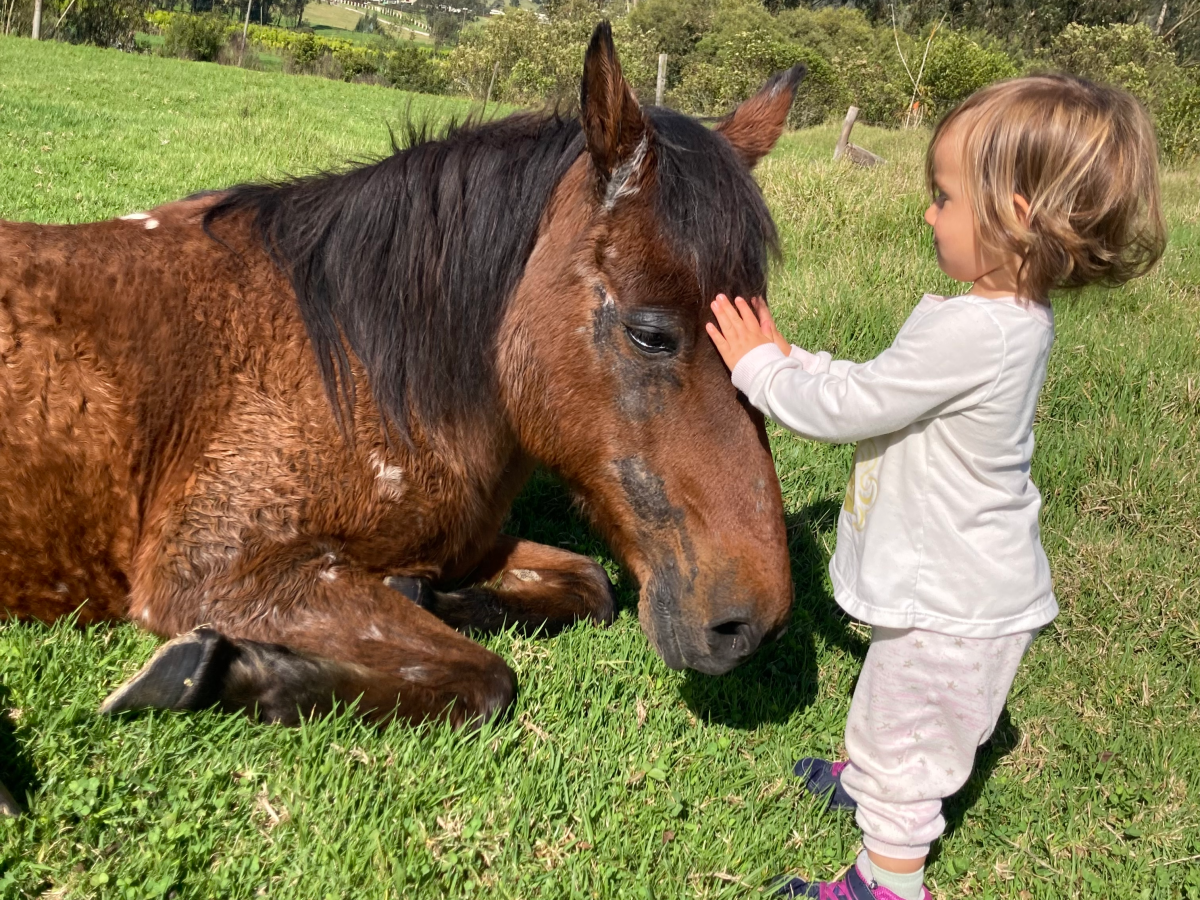 Conectar para educar