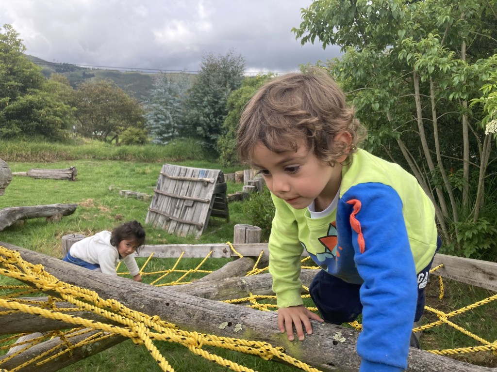 El riesgo de jardines basados en naturaleza